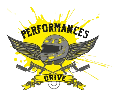 logo performances drive karting 42