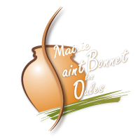 logo stbonnet